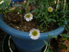 名前を教えて下さい