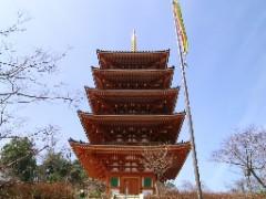 あまのはしだて