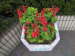 大分市民図書館