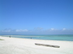 こんどいびーち