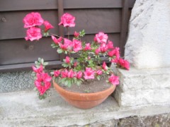 ゆのひらおんせん