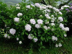 【お題日記】一番Hしたくなる時間帯は？