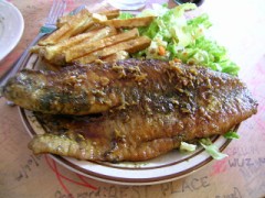 北の光を見に行って