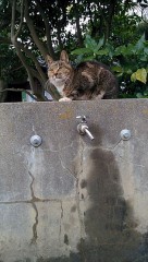 デジログの続き