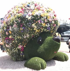 ベルギービールの前に