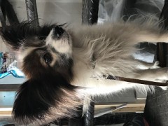 名物を食べていると