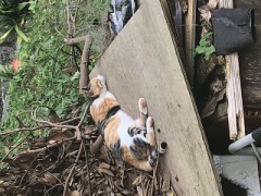 【お題日記】あなたの雑談力はどのくらい？