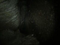 【お題日記】お酒を飲むとHしたくなる？