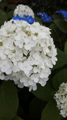 6月になっちゃいましたね