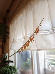 食べると 大体 調子悪くなるやつってやつは嫌いです