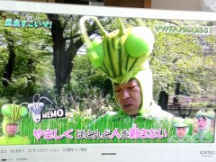 昆虫すごいぜ！