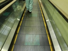 お気に入りの写真見せて