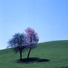 生まれる前から