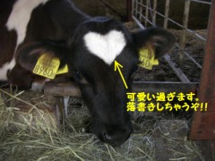 今日はカラッとしてますね♪