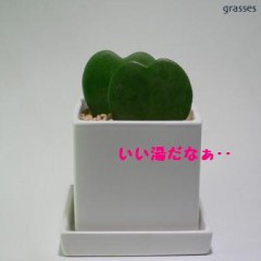 いっしょに入り間ショー