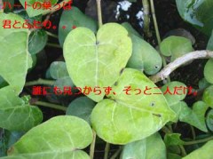 そっと二人だけ。