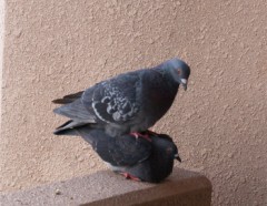 オモテの続き･･･///