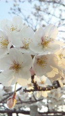 初☆デジログって何？