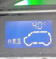 【お題日記】性欲と食欲、勝つのはどっち？