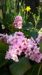 初めて聞いた名前！