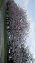 通話時間最長何分？