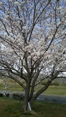 家族に隠れてするひとりH