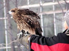 明日は日帰り名古屋。