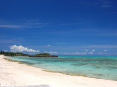 終わりました♪