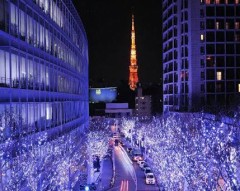 六本木でクリスマス(^_^)