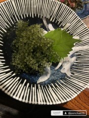 うみぶどう[ブドウ]