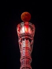 【お題日記】手品出来る？