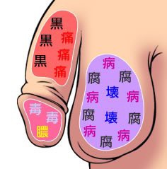 かぼちゃんのおチンチン．．．？