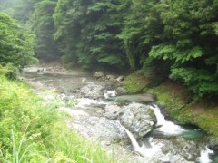 おチンチンも森林浴？