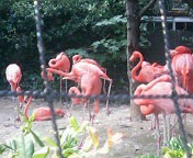 上野動物園に行ってきました★