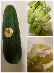 加賀太きゅうり