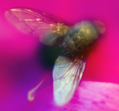 女に戻る瞬間かな？