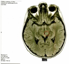 写真のこと、いろいろ考えたけれど
