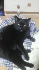 激臭!?ミッドナイトハプニング…