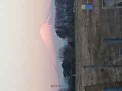 結構、離れた場所から撮影♪