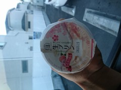 【お題日記】あなたを動物に例えるなら？