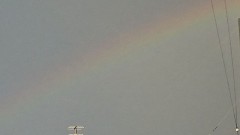 早起きは三文の徳