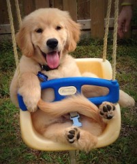 【お題日記】私〇〇がないと耐えれません！