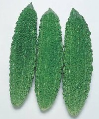 【お題日記】調教したこと、されたことある？