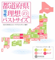 都道府県で見る男性の理想のバストサイズ