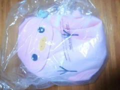 誰かこれ背負ってくれません？ｗｗ　/　そろそろ勉強始めます・・・たぶん