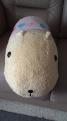 カピバラさん