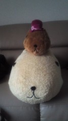 づがれ"だ～(´д｀ )