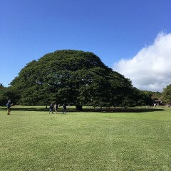 【お題日記】お気に入りの写真見せて