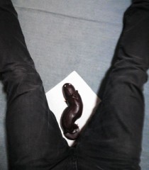 新スイーツ味見　裏編