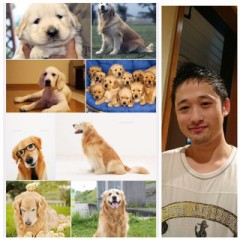 【お題日記】僕はハンバーグ好き！☆彡